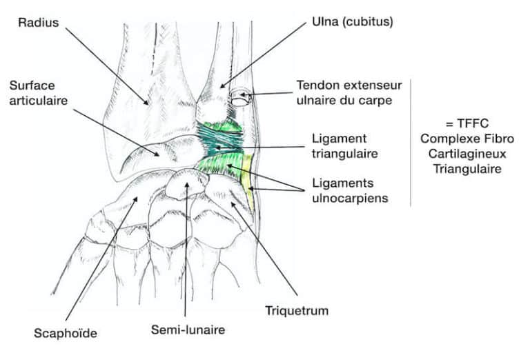Maladies de la main et du poignet - Pathologies main | Pr Eric Roulot